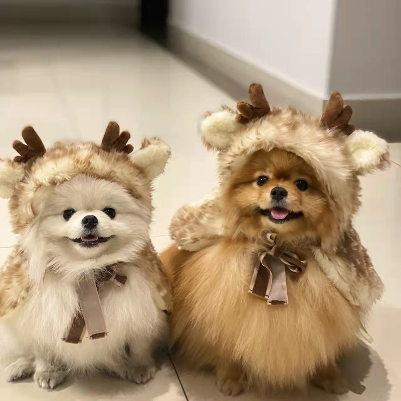 Winter Clothing Dress Up - Vêtements de Noël pour animaux de