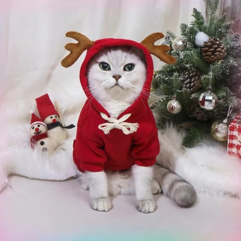 Winter Clothing In French - Vêtements pour chiots, produits de Noël