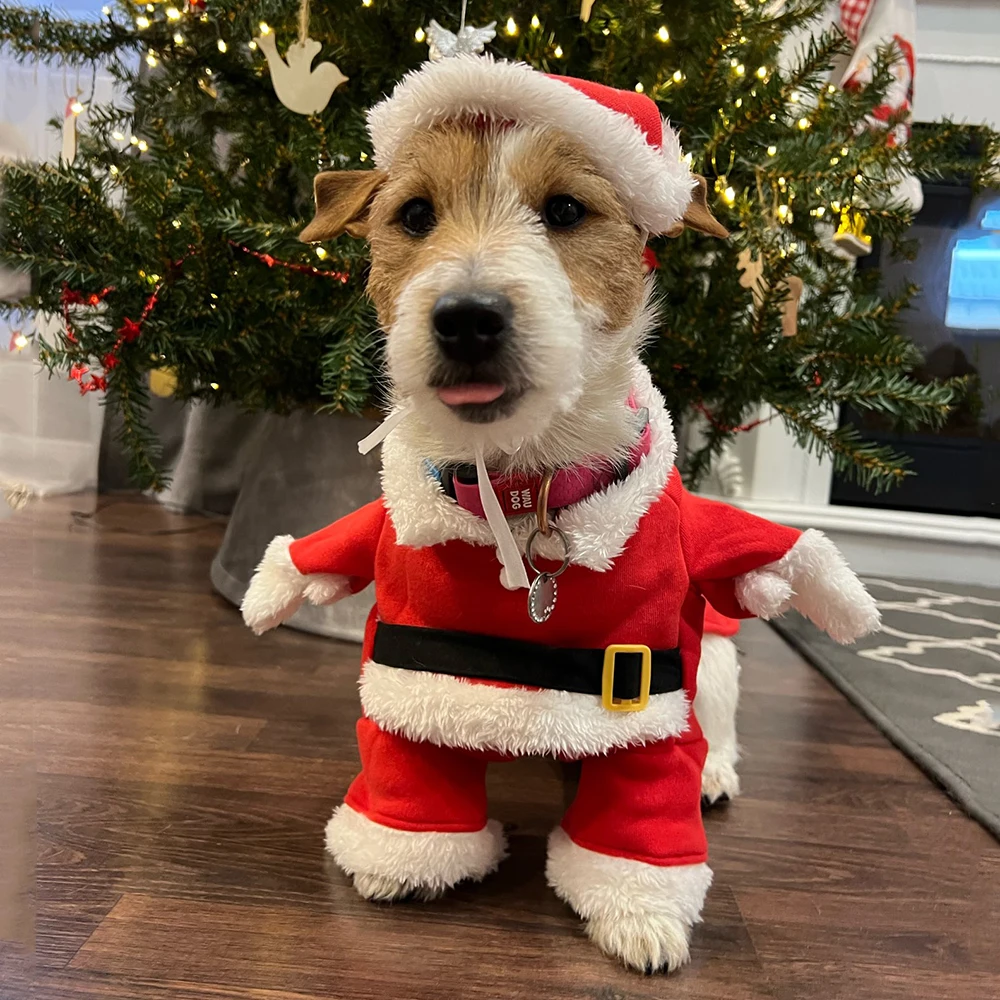 Winter Clothing Dress Up - Vêtements de noël pour chiens et