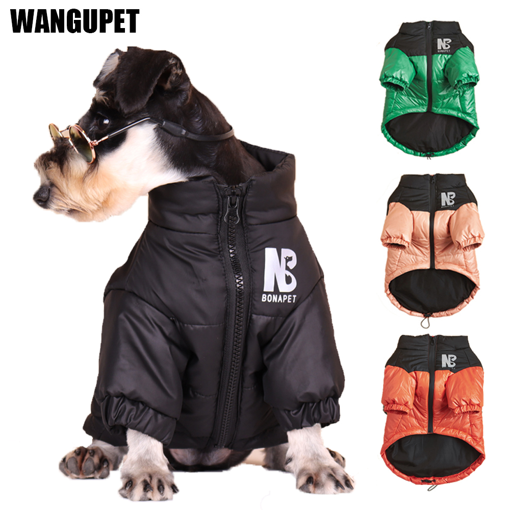 Winter Clothing In French - Veste réfléchissante pour chien, vêtement d'hiver