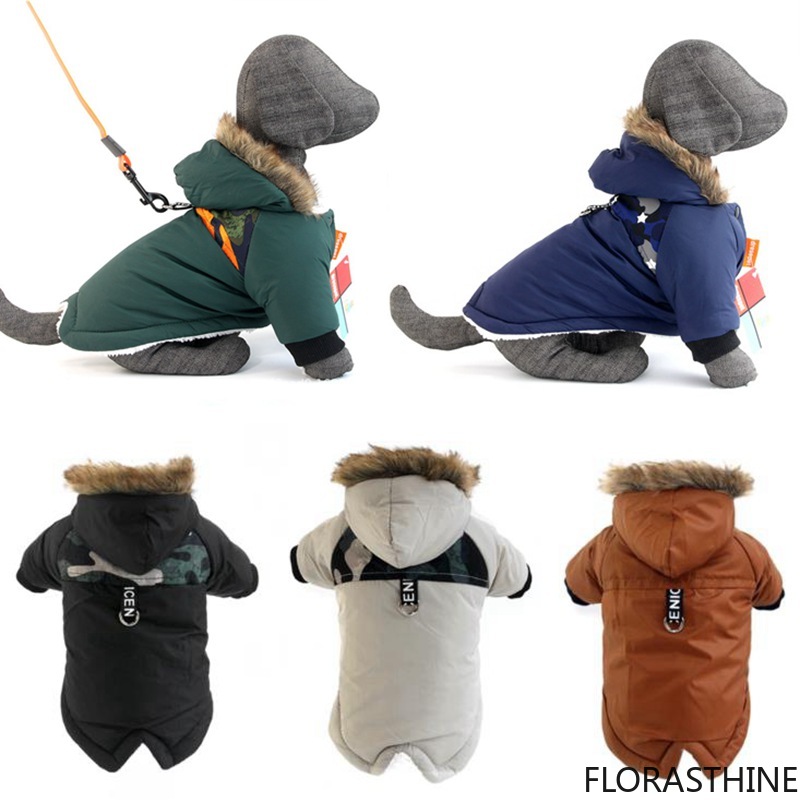 Winter Clothing In French - Vêtements pour chiens de compagnie, veste
