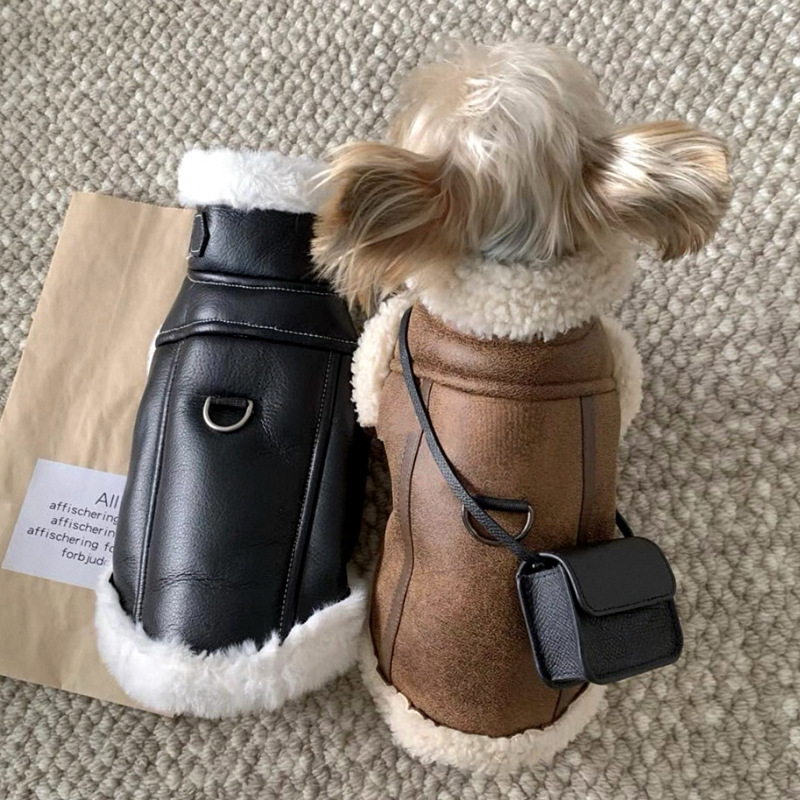 Manteau d'hiver chaud pour chi - Winter Clothing Line avis et prix