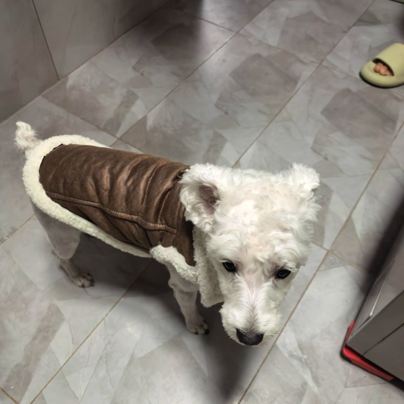 Manteau d'hiver chaud pour chi - Winter Clothing Line avis et prix