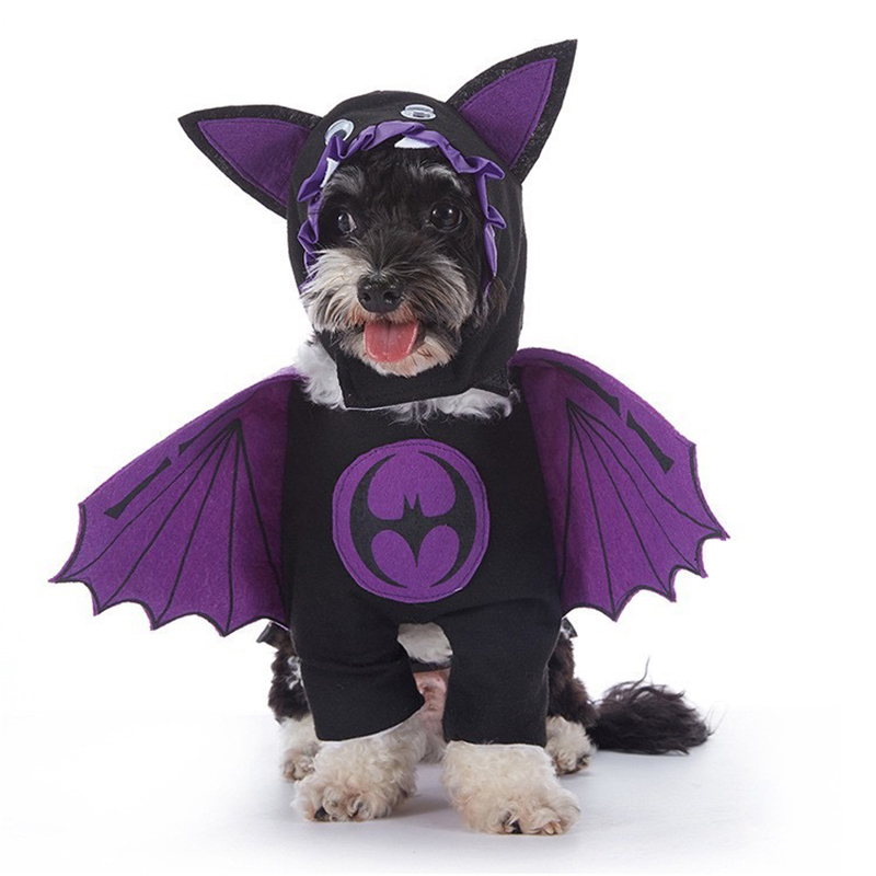 Costumes d'Halloween effrayant - Winter Clothing In French avis et prix