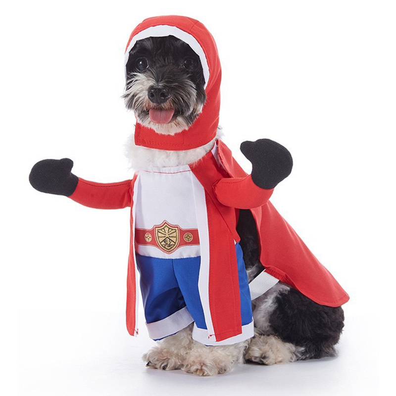 Costumes d'Halloween effrayant - Winter Clothing In French avis et prix