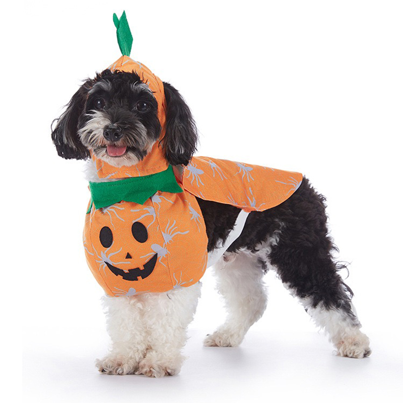 Costumes d'Halloween effrayant - Winter Clothing In French avis et prix