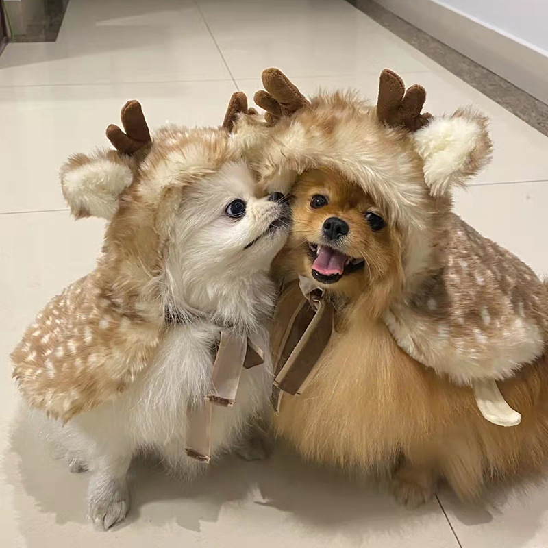 Vêtements de Noël pour animaux - Winter Clothing Dress Up avis et prix