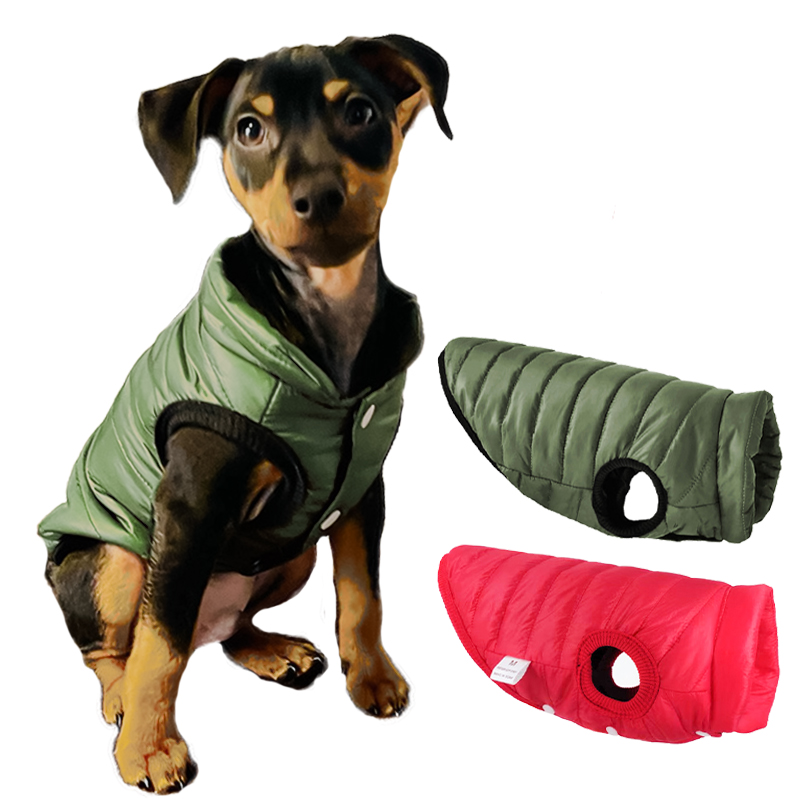 Veste chaude pour chien, vêtem - Winter Clothing In French avis et prix