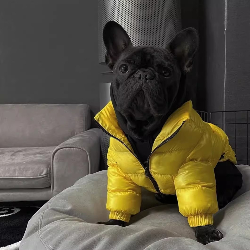 Carlin chien manteau veste bou - Winter Clothing In French avis et prix