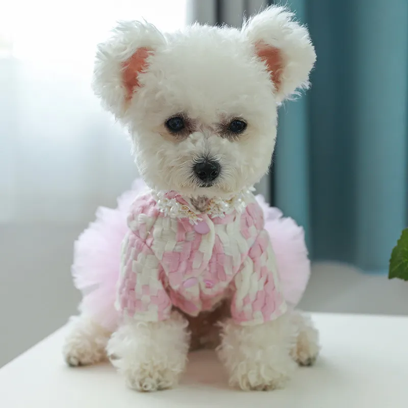 Bg Tutu étoile chien robes pou - Winter Clothing In French avis et prix