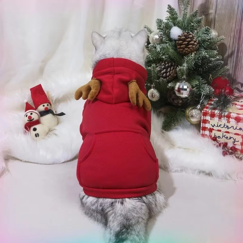 Vêtements pour chiots, produit - Winter Clothing In French avis et prix