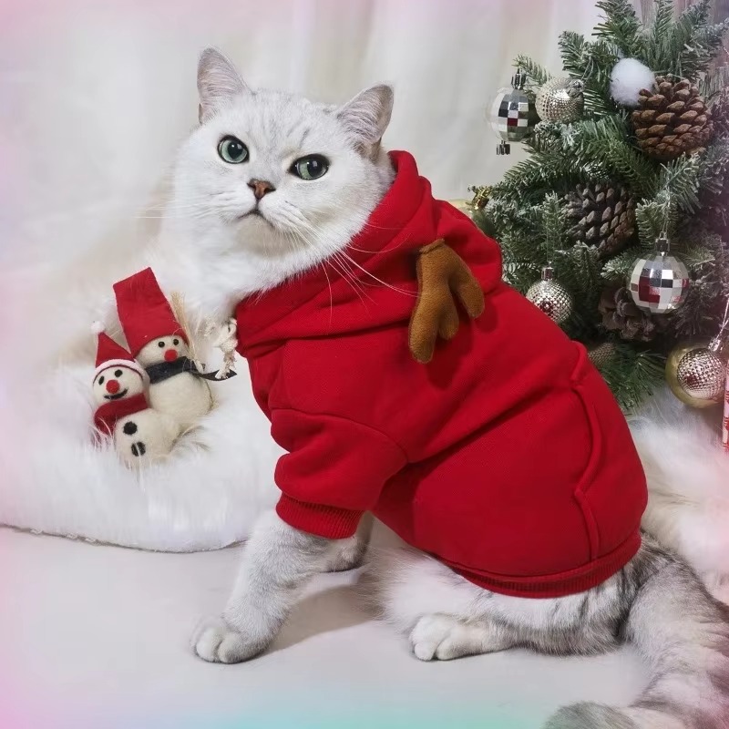 Vêtements pour chiots, produit - Winter Clothing In French avis et prix