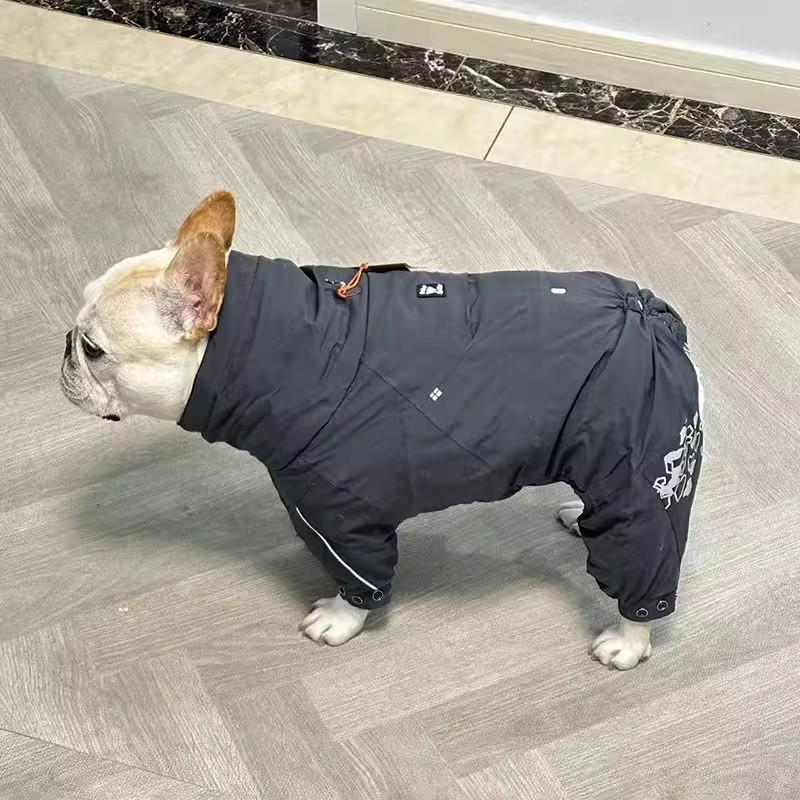 Bouledogue français vêtements  - Winter Clothing In French avis et prix