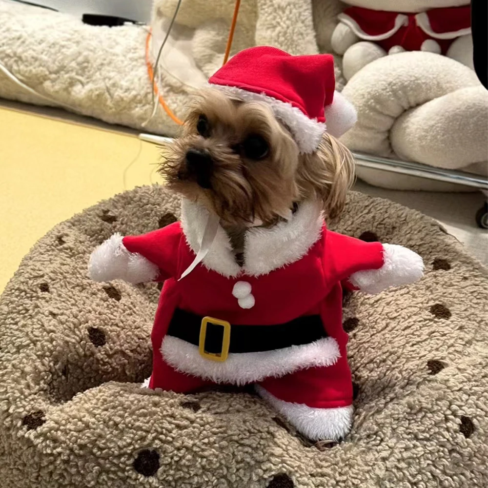 Vêtements de noël pour chiens  - Winter Clothing Dress Up avis et prix