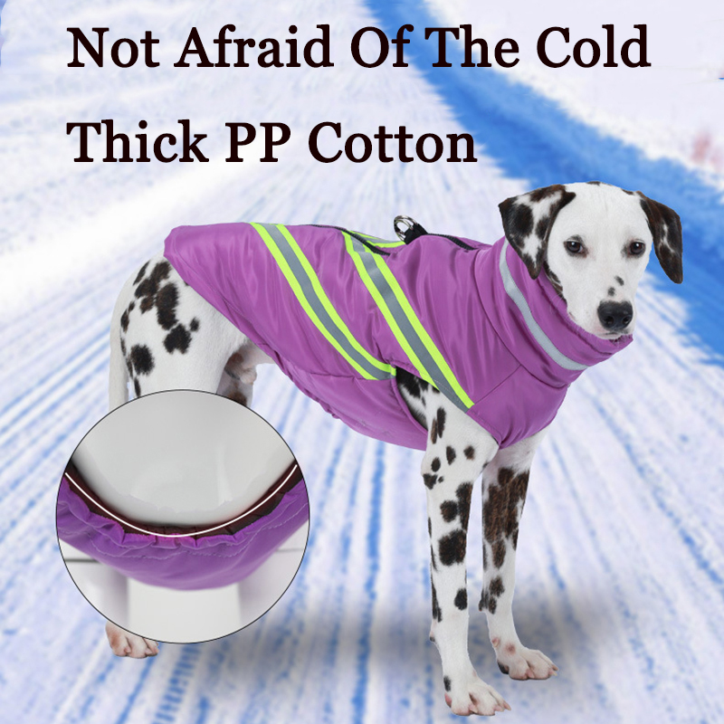 Veste pour chien de compagnie, - Winter Clothing In French avis et prix