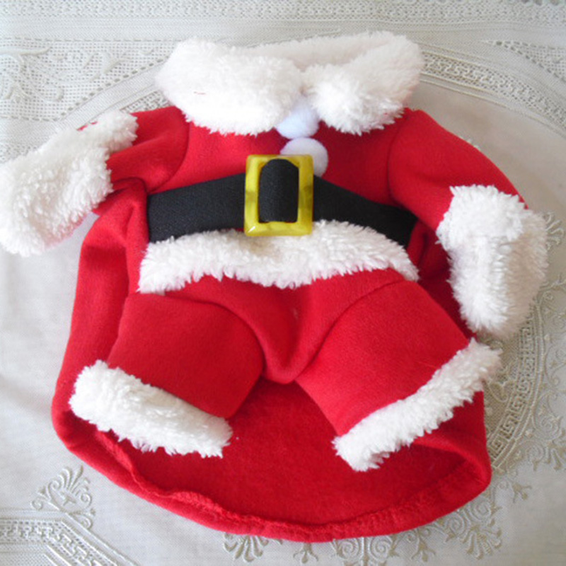 Veste d'hiver pour chien, mant - Winter Clothing Dress Up avis et prix