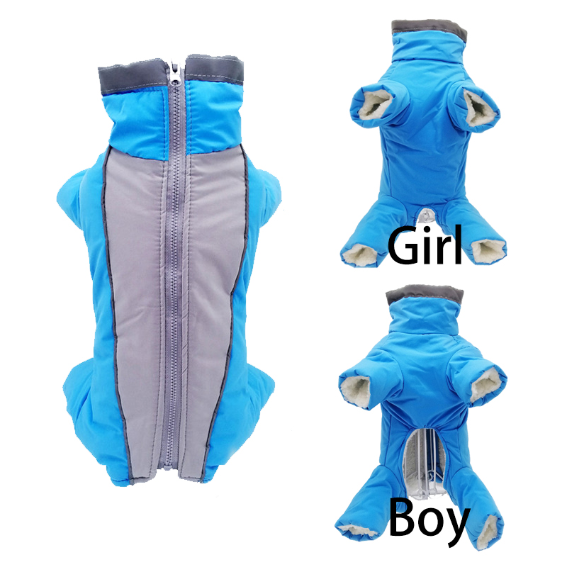 Vêtements d'hiver pour chiens  - Winter Clothing In French avis et prix