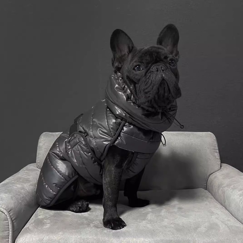 Carlin chien manteau veste hiv - Winter Clothing In French avis et prix