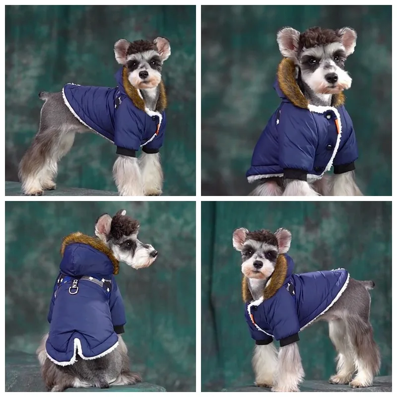 Vêtements pour chiens de compa - Winter Clothing In French avis et prix