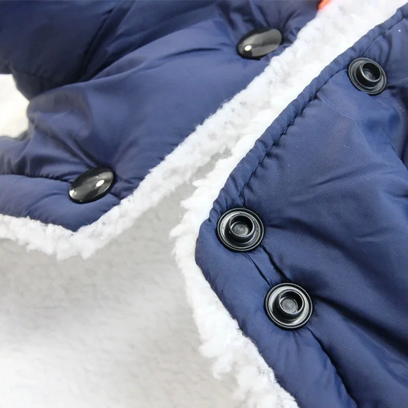 Vêtements pour chiens de compa - Winter Clothing In French avis et prix