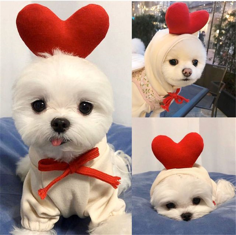 Vêtements d'hiver pour animaux - Winter Clothing In French avis et prix